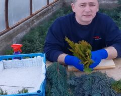 Гурток СПГ 17