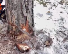 Гурток СПГ 23