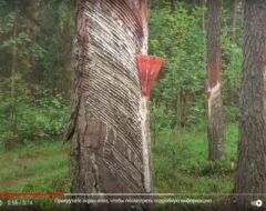 Гурток СПГ 24