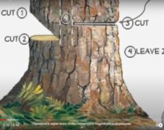 Гурток СПГ 26