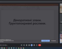 Гурток СПГ 6