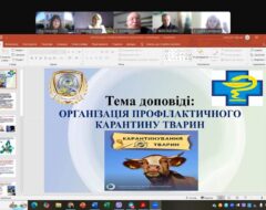 15.05.2025