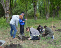 Всеукраїнська акція «Посади дерево в пам’ять воїна»