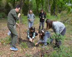Всеукраїнська акція «Посади дерево в пам’ять воїна»