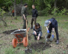 Всеукраїнська акція «Посади дерево в пам’ять воїна»