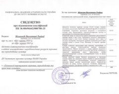 Підвищення кваліфікації