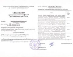 Підвищення кваліфікації