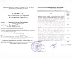 Підвищення кваліфікації