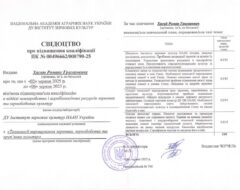 Підвищення кваліфікації