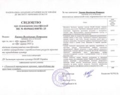 Підвищення кваліфікації