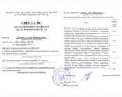 Підвищення кваліфікації
