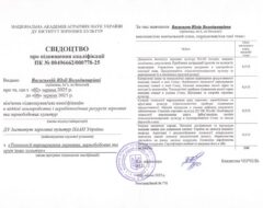 Підвищення кваліфікації