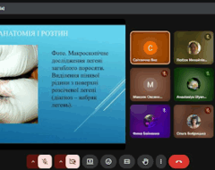 24.06.2025