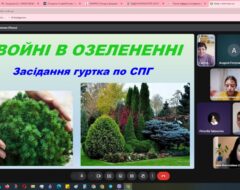 Засідання СНГ