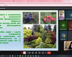 Засідання СНГ