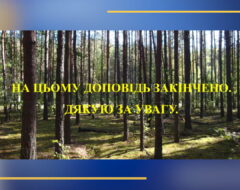 14-15.10.2025