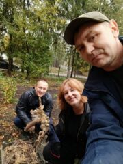 Висадка півоній