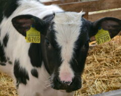 Візит до ПП «Агропрогрес»