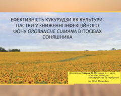 ІХ Міжнародна науково-практична конференція «Наукові засади підвищення ефективності сільськогосподарського виробництва»