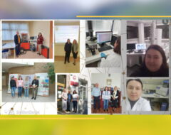 ІХ Міжнародна науково-практична конференція «Наукові засади підвищення ефективності сільськогосподарського виробництва»