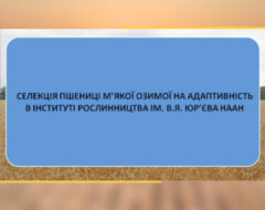 ІХ Міжнародна науково-практична конференція «Наукові засади підвищення ефективності сільськогосподарського виробництва»