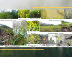 Захист магістерських робіт