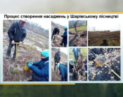 Захист магістерських робіт