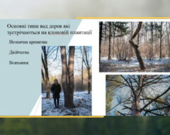 Захист магістерських робіт