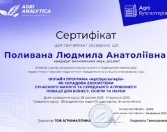 Стажування викладачів