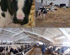 Виїзний семінар на підприємстві