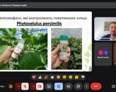 Відкрита лекція