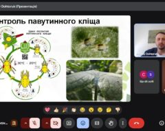 Відкрита лекція