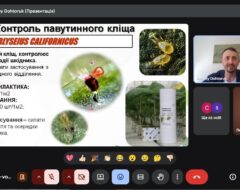 Відкрита лекція