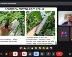 Відкрита лекція