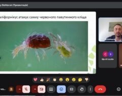 Відкрита лекція