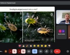 Відкрита лекція