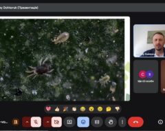 Відкрита лекція