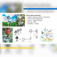 X Міжнародна науково-практична конференція «Управління розвитком соціально-економічних систем»