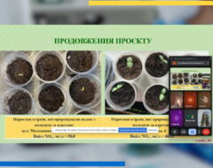 Інтернет-конференція з біотехнології