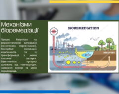 Інтернет-конференція з біотехнології