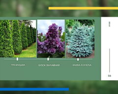 Всеукраїнська науково-практична конференція «Сучасність і перспективи розвитку лісової галузі, ландшафтної архітектури і землевпорядкування»
