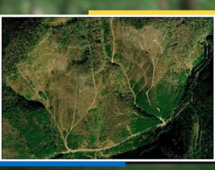 Всеукраїнська науково-практична конференція «Сучасність і перспективи розвитку лісової галузі, ландшафтної архітектури і землевпорядкування»