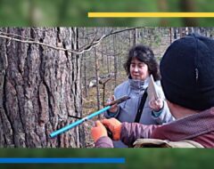 Всеукраїнська науково-практична конференція «Сучасність і перспективи розвитку лісової галузі, ландшафтної архітектури і землевпорядкування»