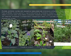 Всеукраїнська науково-практична конференція «Сучасність і перспективи розвитку лісової галузі, ландшафтної архітектури і землевпорядкування»