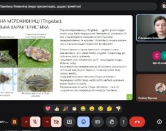 18.05.2026