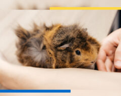 Здобувачі ДБТУ відвідали Харківський зоопарк