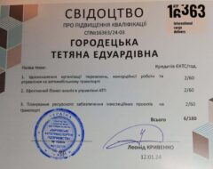 16363-sert3
