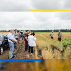 День поля в ДБТУ
